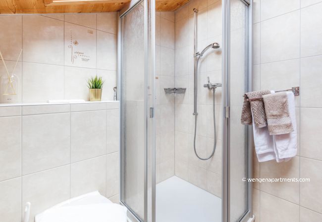 Apartment in Wengen - Kinohaus 3 Apartment in Wengen - Kinohaus 3