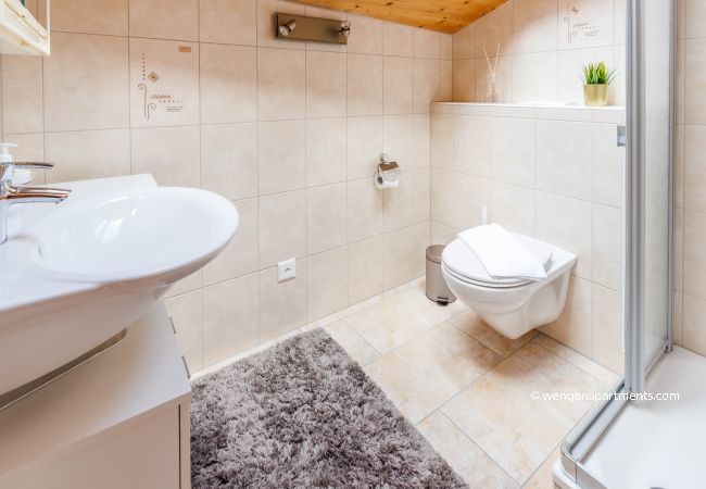 Apartment in Wengen - Kinohaus 3 Apartment in Wengen - Kinohaus 3