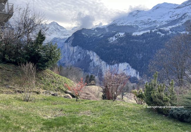 Apartment in Wengen - Chalet Panorama 1 Apartment in Wengen - Chalet Panorama 1