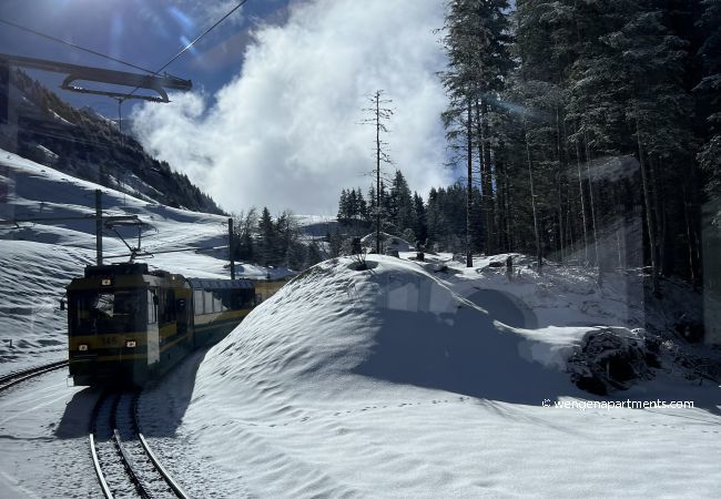 Apartment in Wengen - Chalet Panorama 1 Apartment in Wengen - Chalet Panorama 1
