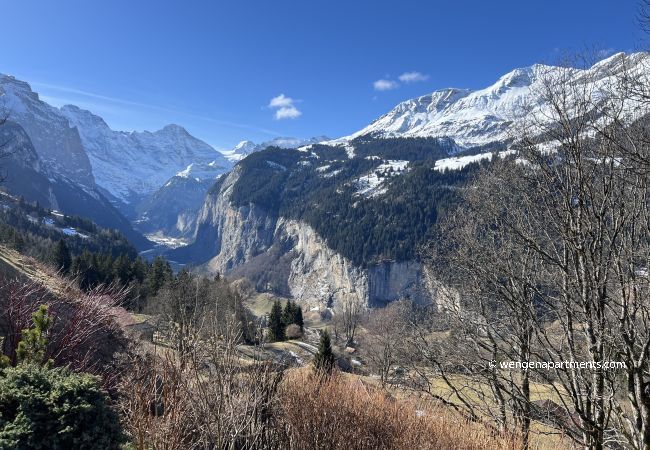 Apartment in Wengen - Chalet Panorama 1 Apartment in Wengen - Chalet Panorama 1