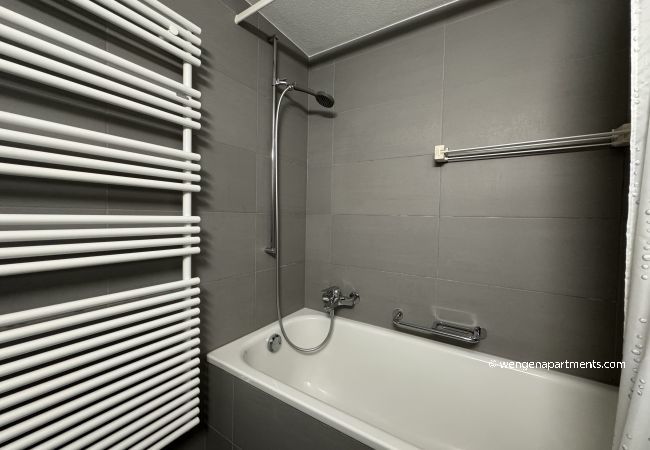 Studio in Wengen - Eiger Studio Studio in Wengen - Eiger Studio