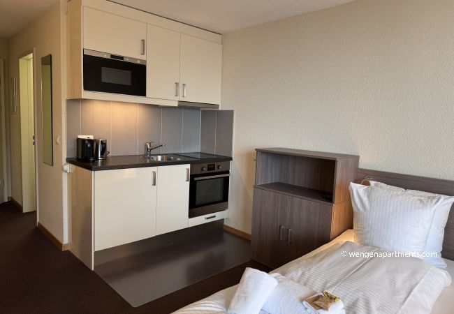 Studio in Wengen - Eiger Studio Studio in Wengen - Eiger Studio