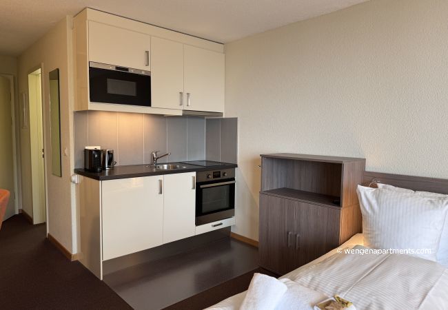 Studio in Wengen - Eiger Studio Studio in Wengen - Eiger Studio