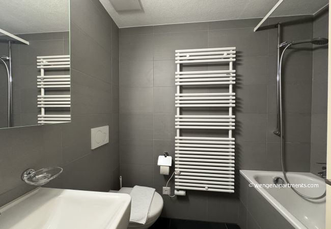 Studio in Wengen - Eiger Studio Studio in Wengen - Eiger Studio