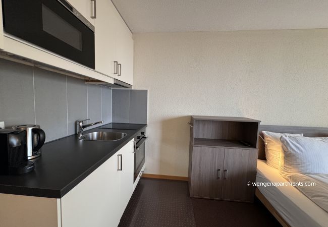 Studio in Wengen - Eiger Studio Studio in Wengen - Eiger Studio