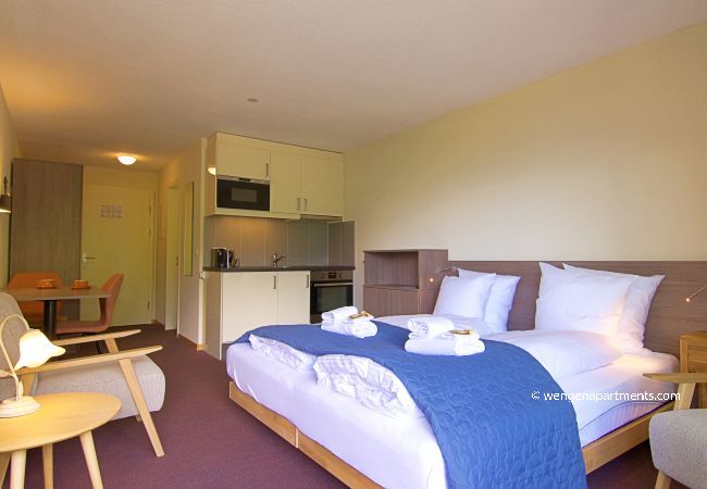 Studio in Wengen - Eiger Studio Studio in Wengen - Eiger Studio