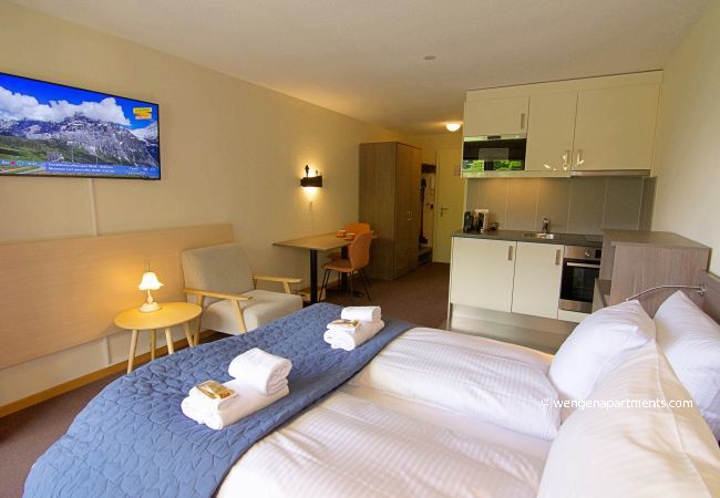 Studio in Wengen - Eiger Studio Studio in Wengen - Eiger Studio