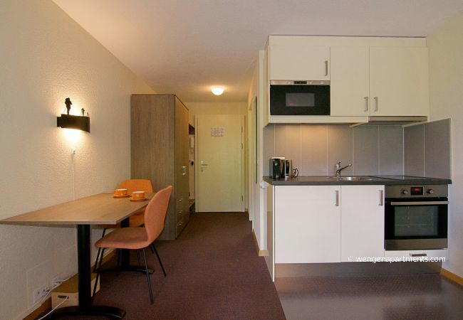 Studio in Wengen - Eiger Studio Studio in Wengen - Eiger Studio