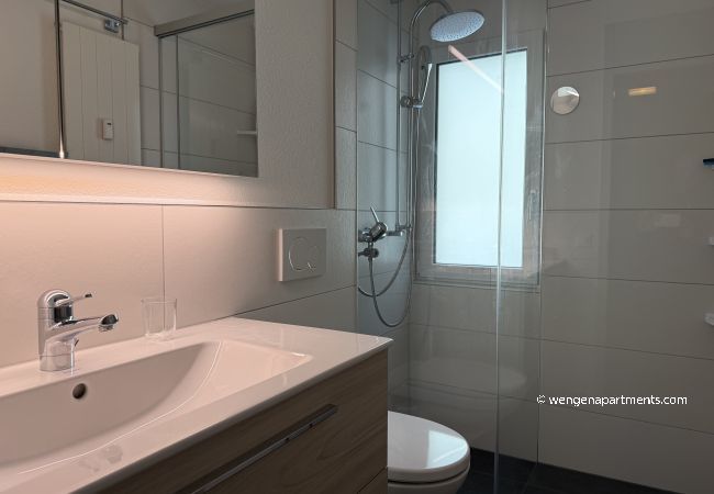 Apartment in Wengen - Residence 22 Apartment in Wengen - Residence 22