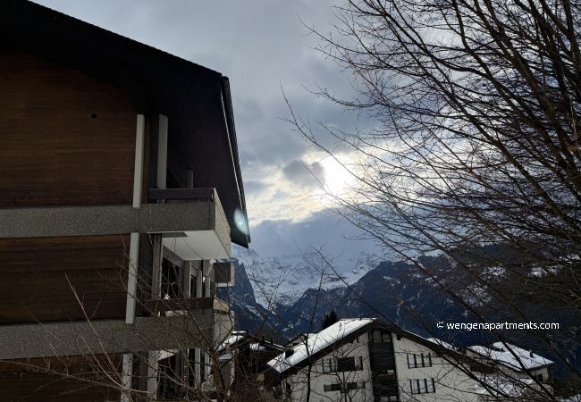 Apartment in Wengen - Residence 22 Apartment in Wengen - Residence 22