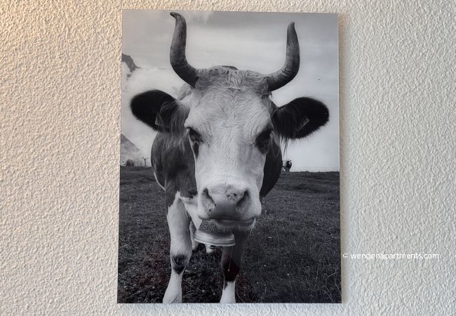 Apartment in Wengen - Residence 22 Apartment in Wengen - Residence 22