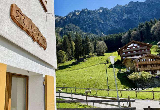Apartment in Wengen - Stella Alpina 1 Apartment in Wengen - Stella Alpina 1