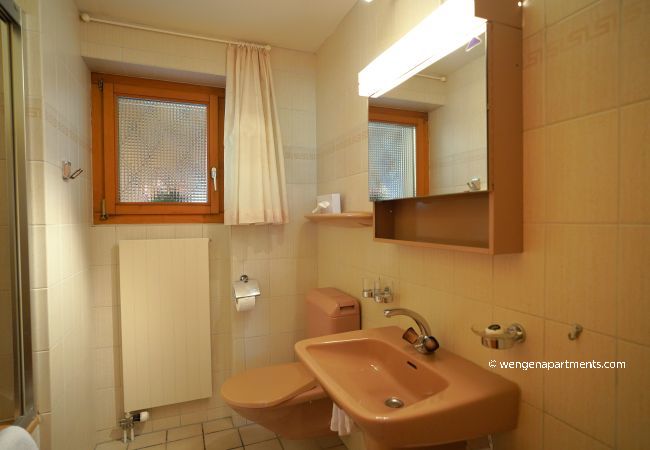 Apartment in Wengen - Chalet Miravalle 1 Apartment in Wengen - Chalet Miravalle 1