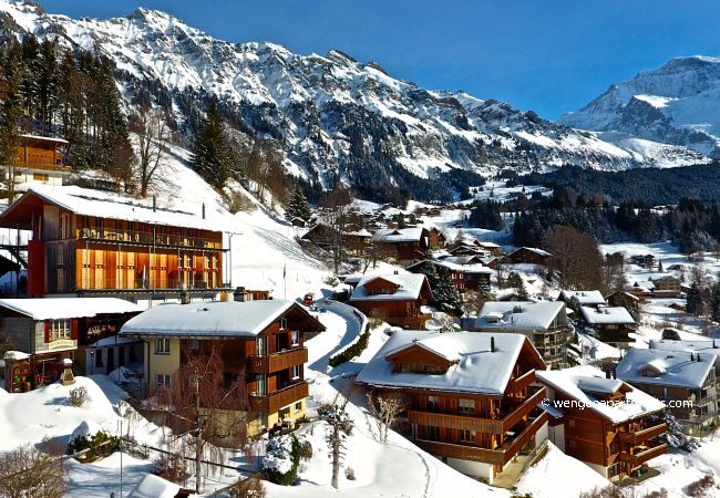 Apartment in Wengen - Chalet Gerbera 1 Apartment in Wengen - Chalet Gerbera 1