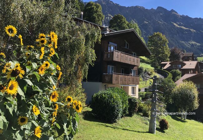 Apartment in Wengen - Chalet Gerbera 1 Apartment in Wengen - Chalet Gerbera 1