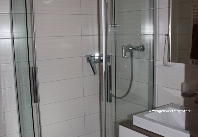 Apartment in Wengen - Chalet Gerbera 1 Apartment in Wengen - Chalet Gerbera 1