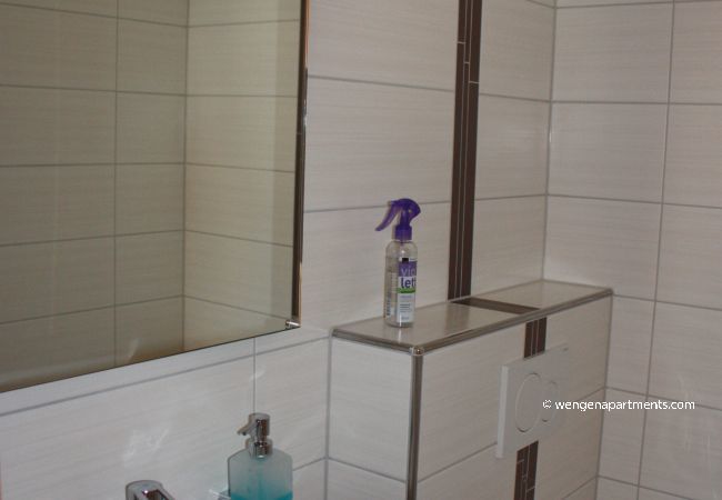 Apartment in Wengen - Chalet Gerbera 1 Apartment in Wengen - Chalet Gerbera 1