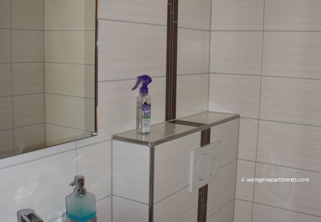 Apartment in Wengen - Chalet Gerbera 1 Apartment in Wengen - Chalet Gerbera 1