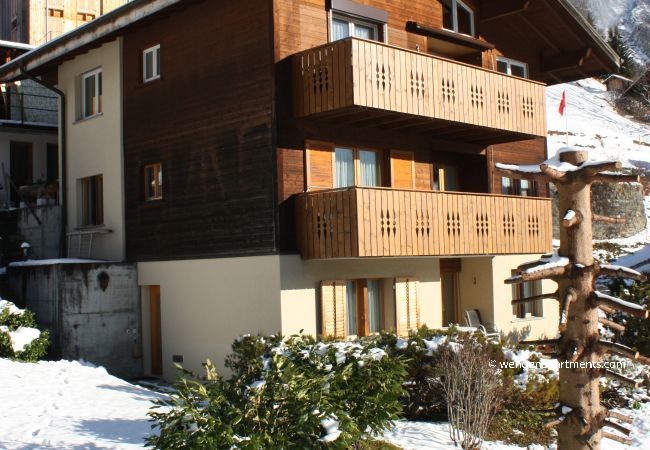 Apartment in Wengen - Chalet Gerbera 1 Apartment in Wengen - Chalet Gerbera 1