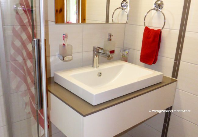 Apartment in Wengen - Chalet Gerbera 1 Apartment in Wengen - Chalet Gerbera 1