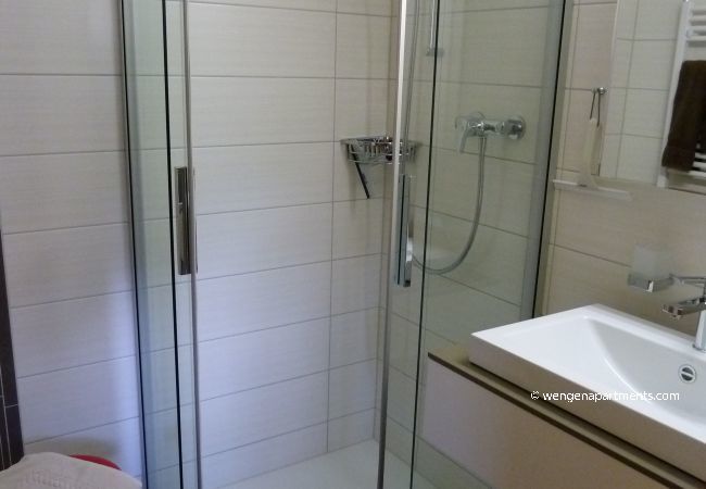 Apartment in Wengen - Chalet Gerbera 1 Apartment in Wengen - Chalet Gerbera 1