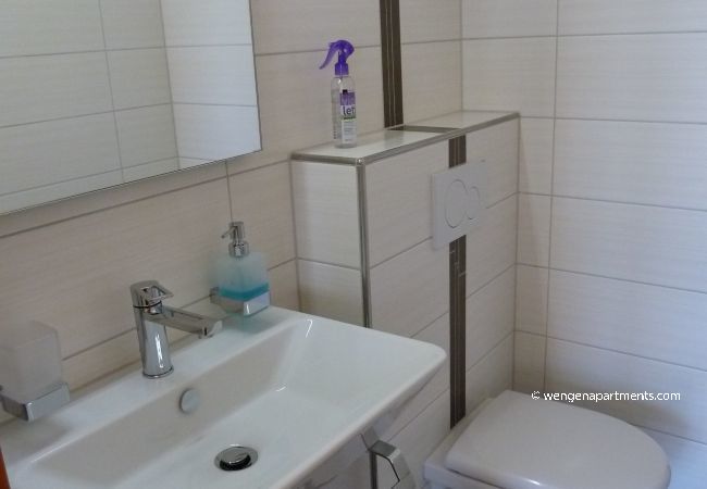 Apartment in Wengen - Chalet Gerbera 1 Apartment in Wengen - Chalet Gerbera 1