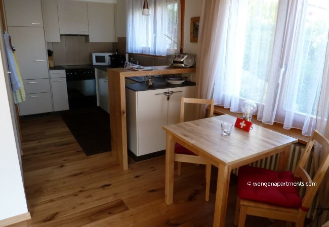 Apartment in Wengen - Chalet Gerbera 1 Apartment in Wengen - Chalet Gerbera 1