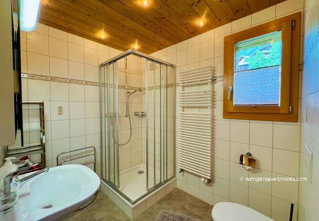 Chalet in Wengen - Chalet Im Bätzenboden Chalet in Wengen - Chalet Im Bätzenboden