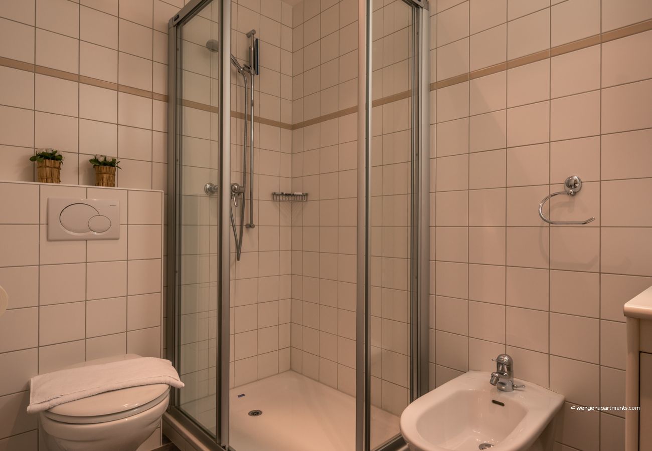 Apartment in Wengen - Roossi-Huus 3 Apartment in Wengen - Roossi-Huus 3