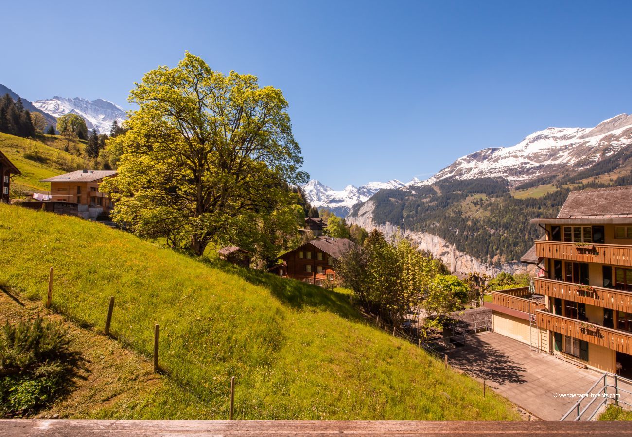 Apartment in Wengen - Roossi-Huus 3 Apartment in Wengen - Roossi-Huus 3