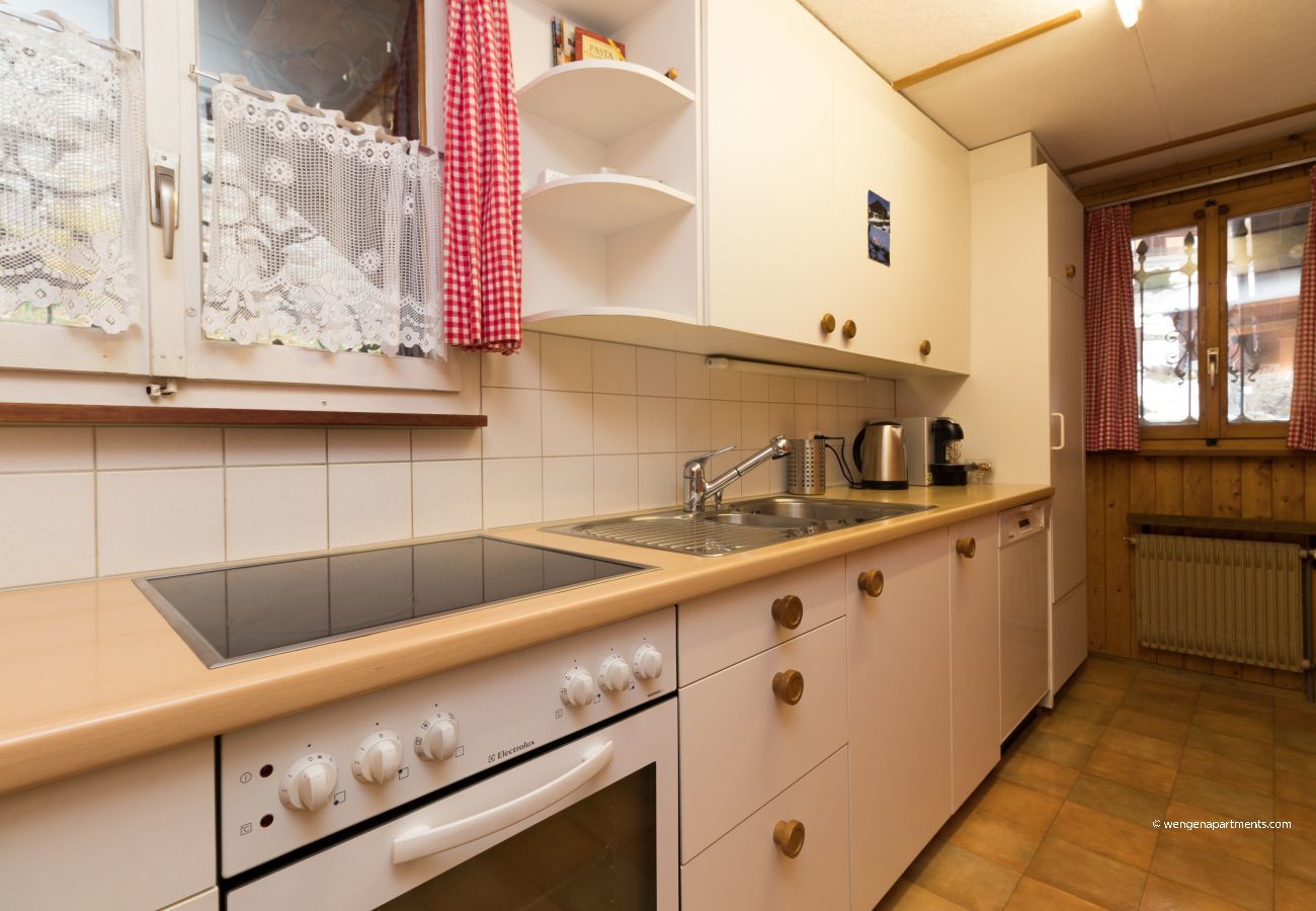 Apartment in Wengen - Chalet Eigersunne 2 Apartment in Wengen - Chalet Eigersunne 2