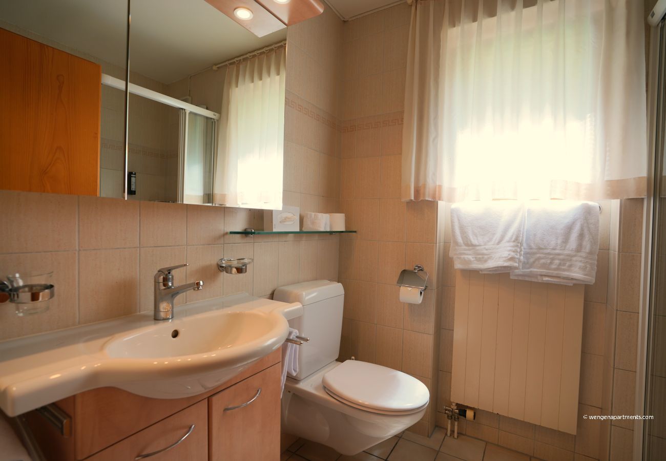 Apartment in Wengen - Chalet Miravalle 2 Apartment in Wengen - Chalet Miravalle 2