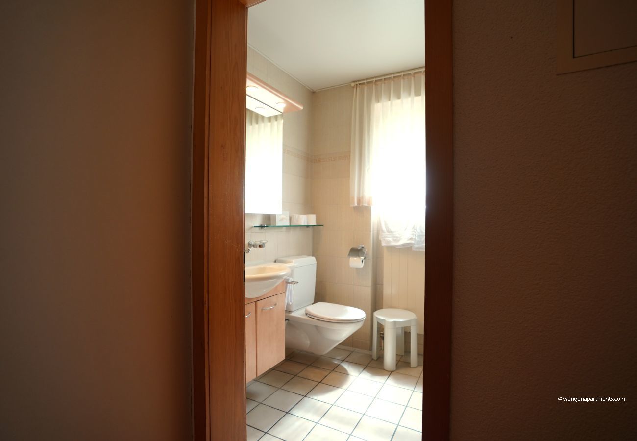 Apartment in Wengen - Chalet Miravalle 2 Apartment in Wengen - Chalet Miravalle 2