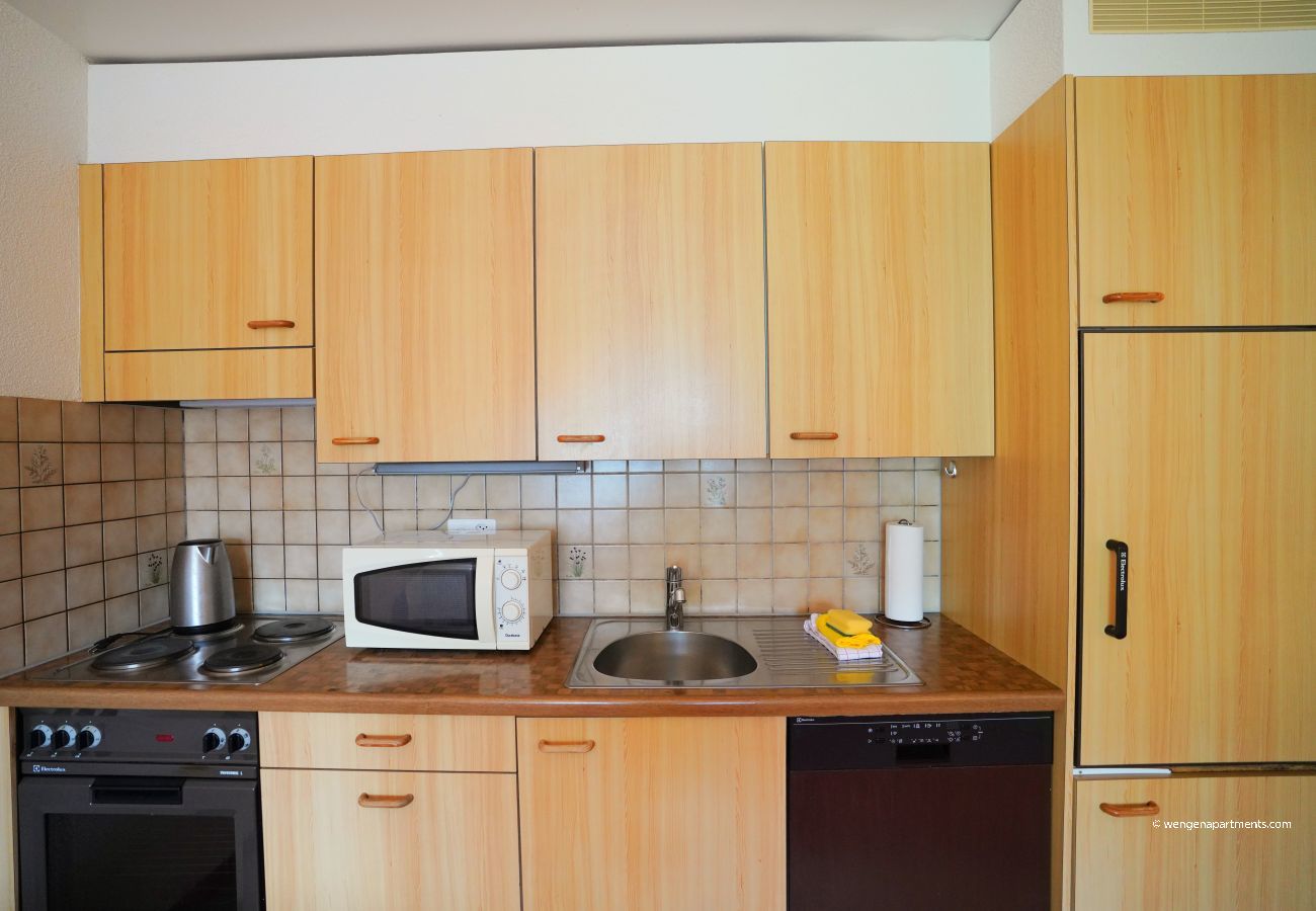 Apartment in Wengen - Chalet Miravalle 2 Apartment in Wengen - Chalet Miravalle 2