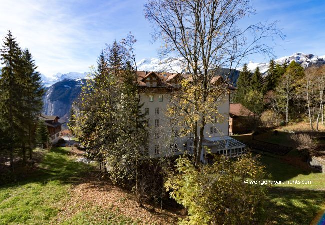 Apartment in Wengen - Apartment Belvedere Apartment in Wengen - Apartment Belvedere