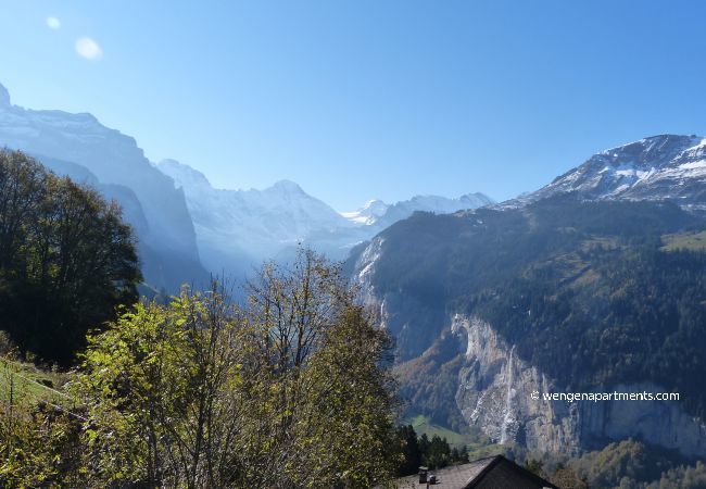 Apartment in Wengen - Chalet Bergkristall Apartment in Wengen - Chalet Bergkristall