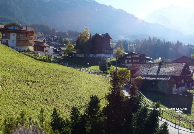 Apartment in Wengen - Chalet Bergkristall Apartment in Wengen - Chalet Bergkristall