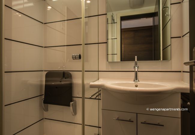 Apartment in Wengen - Chalet Schneehoren Penthouse Apartment in Wengen - Chalet Schneehoren Penthouse