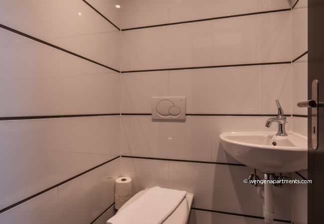 Apartment in Wengen - Chalet Schneehoren Penthouse Apartment in Wengen - Chalet Schneehoren Penthouse