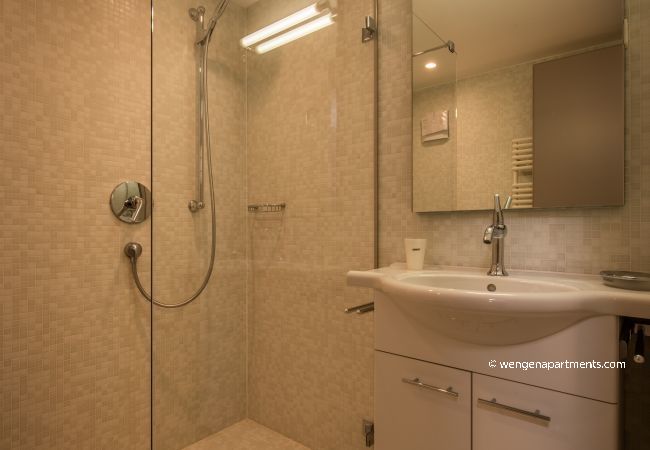 Apartment in Wengen - Chalet Schneehoren Penthouse Apartment in Wengen - Chalet Schneehoren Penthouse