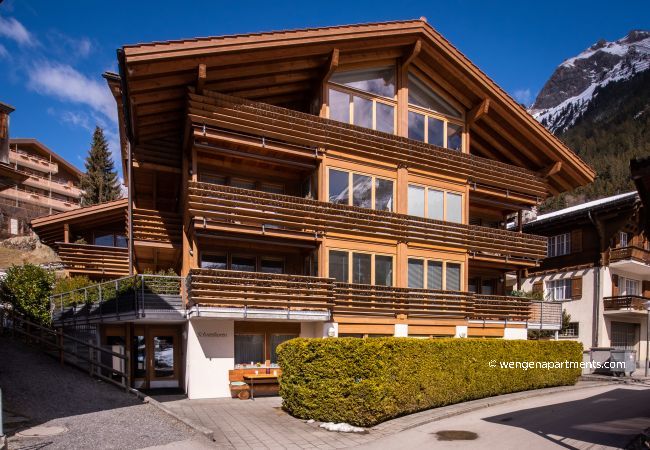 Apartment in Wengen - Chalet Schneehoren Penthouse Apartment in Wengen - Chalet Schneehoren Penthouse