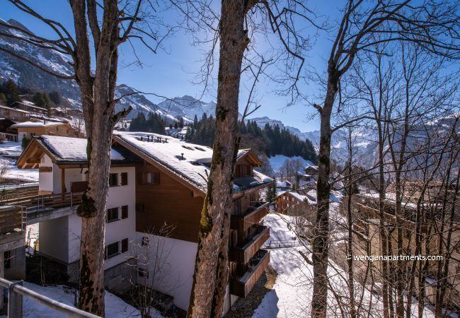 Apartment in Wengen - Roossi-Huus 1 Apartment in Wengen - Roossi-Huus 1