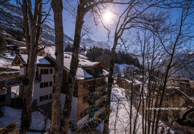 Apartment in Wengen - Roossi-Huus 1 Apartment in Wengen - Roossi-Huus 1