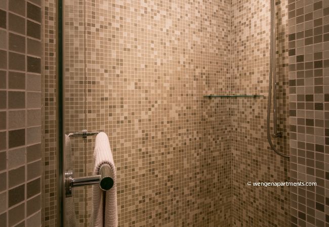 Apartment in Wengen - Chalet Primula Penthouse Apartment in Wengen - Chalet Primula Penthouse