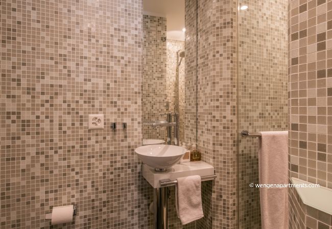 Apartment in Wengen - Chalet Primula Penthouse Apartment in Wengen - Chalet Primula Penthouse