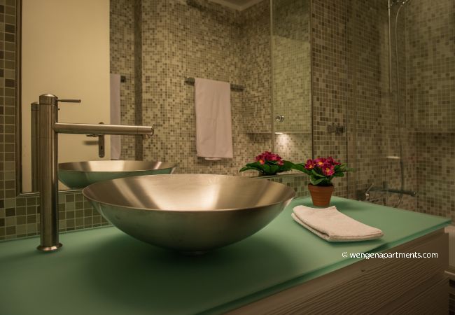 Apartment in Wengen - Chalet Primula Penthouse Apartment in Wengen - Chalet Primula Penthouse