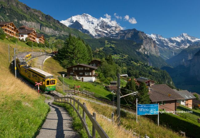 Apartment in Wengen - Chalet Primula Penthouse Apartment in Wengen - Chalet Primula Penthouse