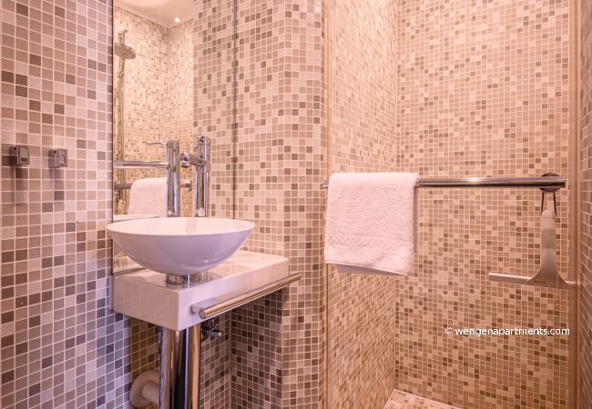 Apartment in Wengen - Chalet Primula Penthouse Apartment in Wengen - Chalet Primula Penthouse