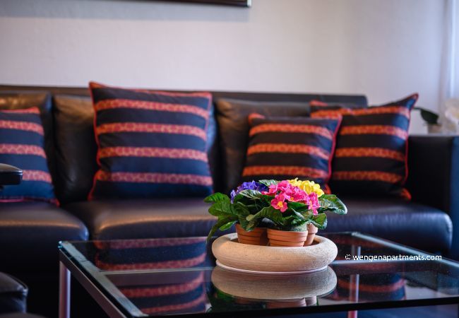 Apartment in Wengen - Chalet Primula Penthouse Apartment in Wengen - Chalet Primula Penthouse